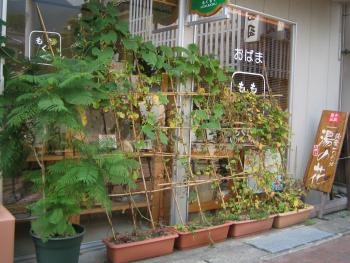 NONALNUM-C4ABB4E9BCEFBCE8A4EA303031