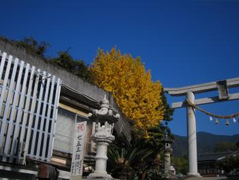 NONALNUM-A5A4A5C1A5E7A5A6A4CECCDA