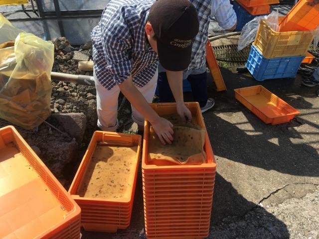 ファイル名: IMG4766.jpg
ファイルサイズ: 61.1KB IMG4766