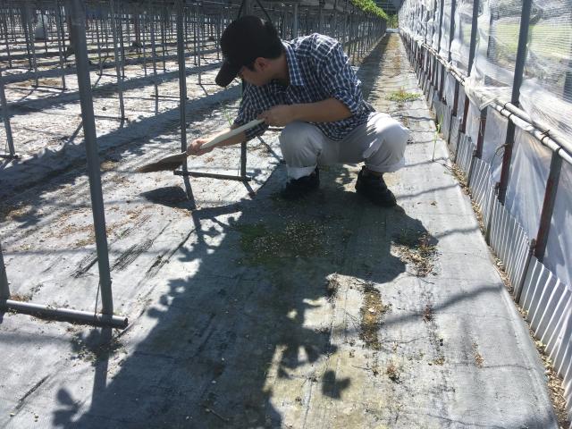 ファイル名: IMG4773.jpg
ファイルサイズ: 74.6KB IMG4773