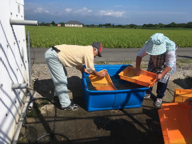 ファイル名: IMG4776.jpg
ファイルサイズ: 56.9KB IMG4776