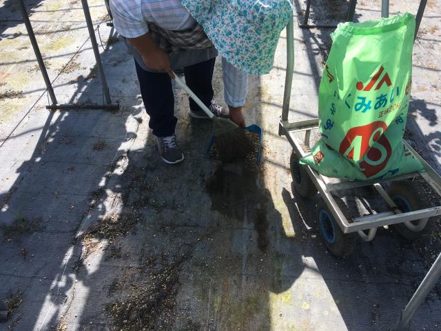 ファイル名: IMG4777.jpg
ファイルサイズ: 65.7KB IMG4777