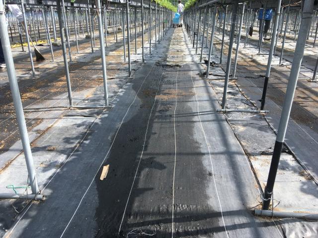 ファイル名: IMG4782.jpg
ファイルサイズ: 74.4KB IMG4782