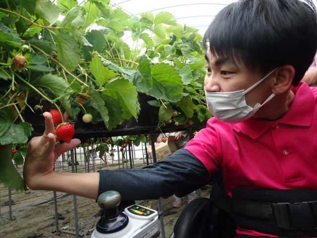 DSC04244
