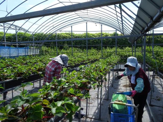 ファイル名: DSC00228.jpg
ファイルサイズ: 158.6KB
→クリックで元のサイズを表示 DSC00228