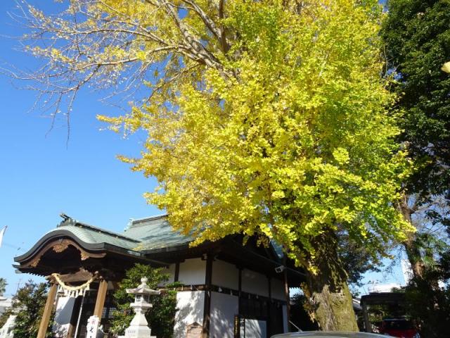 DSC01600