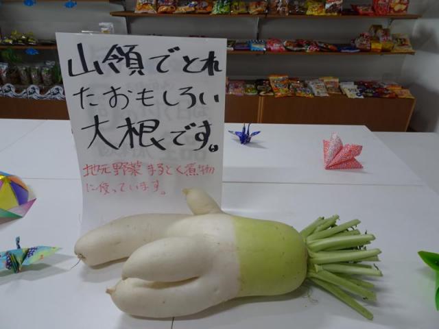 DSC01725